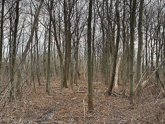 4th image of 0 Sherrod Hill RD