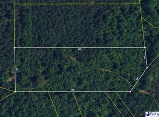 4.87 Acres Tract #E2, Pamplico, SC 29583
