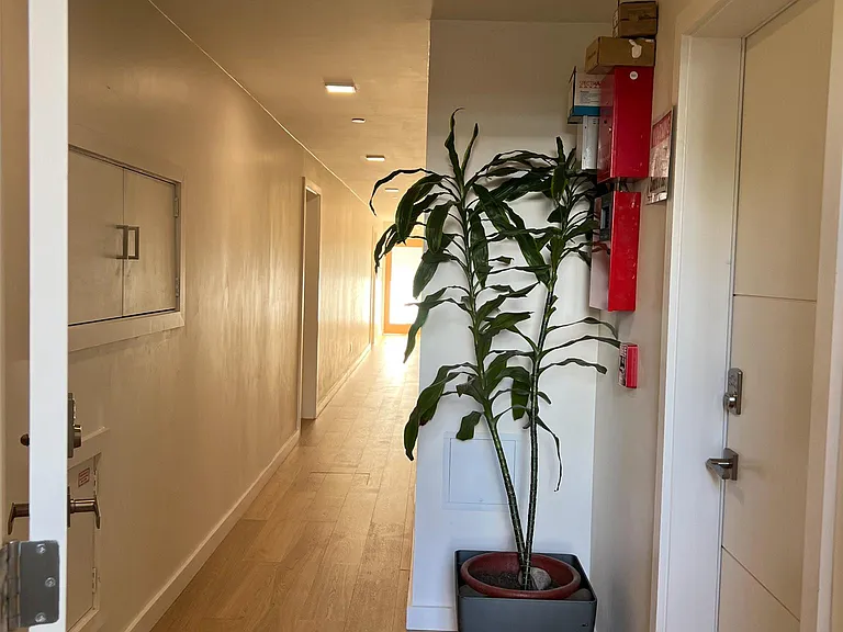Hallway to apartment