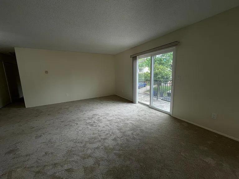 7855 Camino Glorita — Photo 4