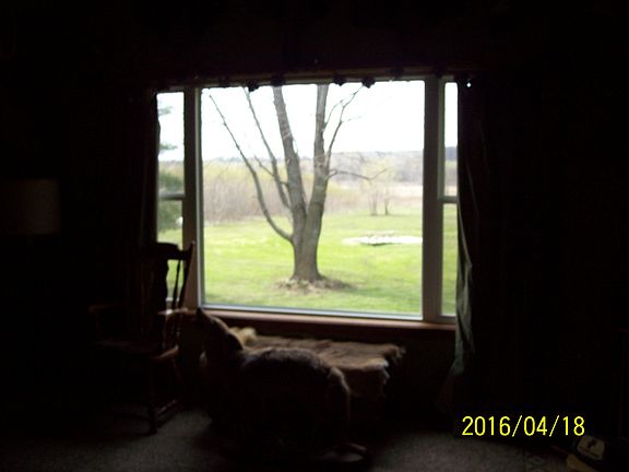 backyard view from FAM room