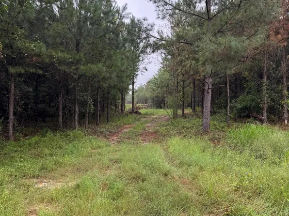 0 Highway 23, Waynesboro, GA 30830