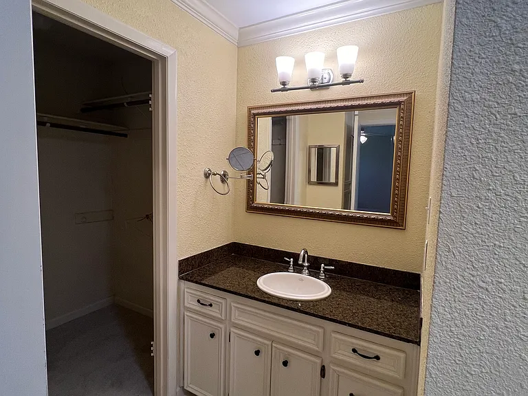 Primary Bath Vanity