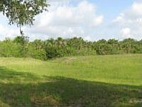 1st image of 1400 Corktree Cir