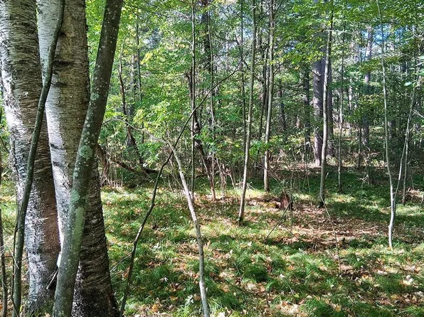 16 W Rapids Rd, Lake Tomahawk, WI 54539