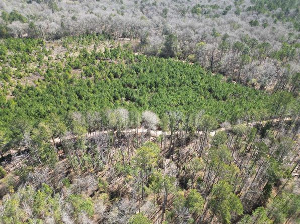Highway 51 Hwy #51-0, Ariton, AL 36311