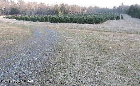 2nd image of 444 T