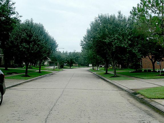 View of wide street in front of house.