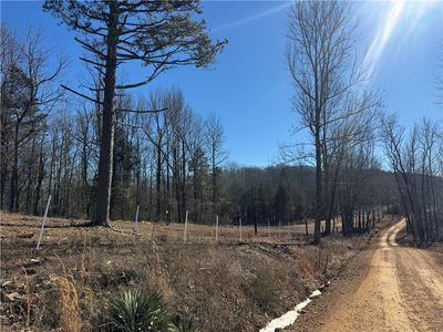 953 Nc #8920, Deer, AR, 72628