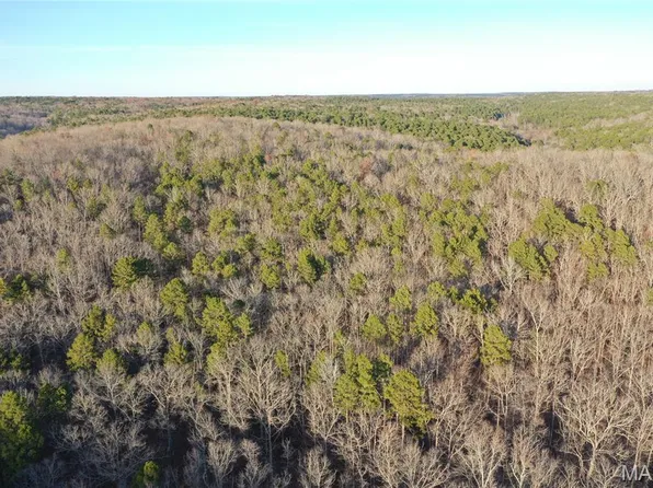 County Road 426, Poplar Bluff, MO 63901