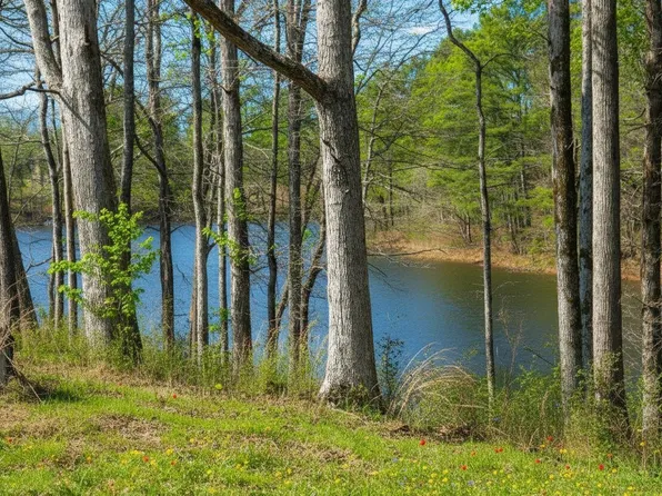 /0 County Road 1464, Cullman, AL 35058