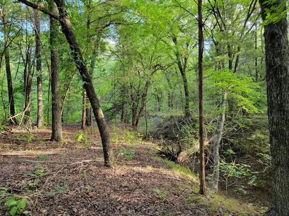 31/ACRE S County Road 127, Whitesboro, TX 76273