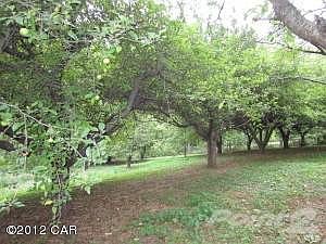 YOUR VERY OWN ORCHARD!