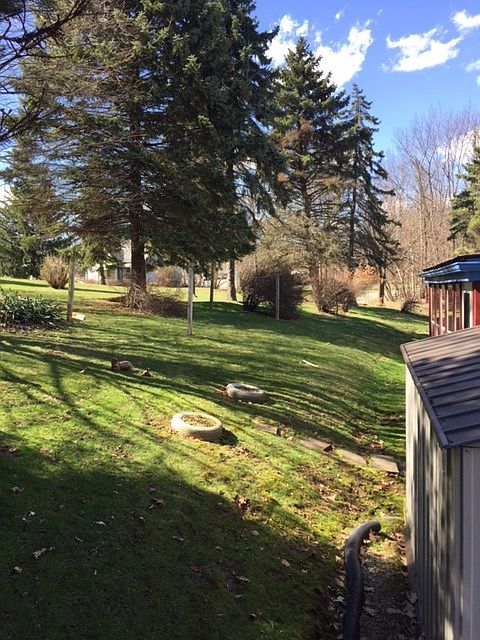 Lawn