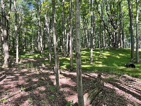 3rd image of 6952 Canadice Hill Rd Lot 59