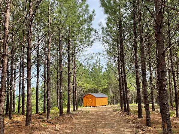 6253 Old Hohenwald Rd, Linden, TN 37096