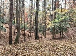 666 Abbey Ct, Ellijay, GA 30540