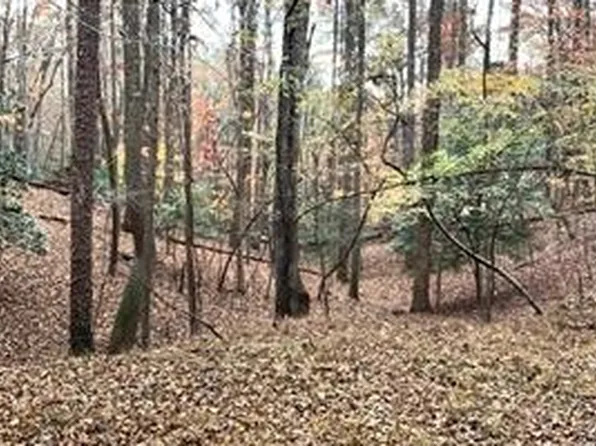 666 Abbey Ct, Ellijay, GA 30540