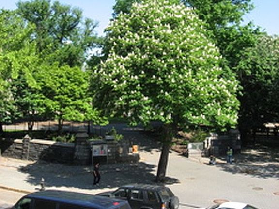 5th image of 166 De Kalb Ave