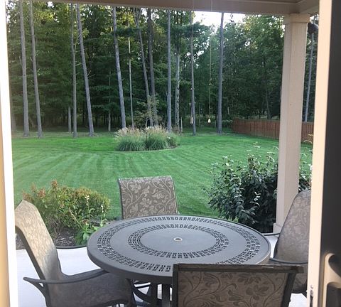 Back yard