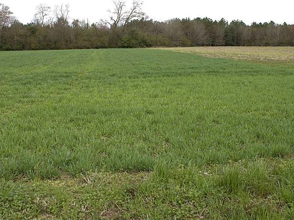 4th image of 3.53 Hummingbird & Byrdtown Rd