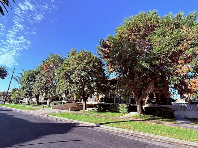 3669 Westwood