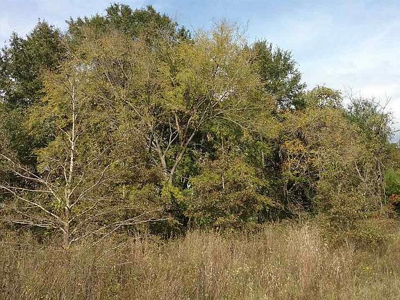 2nd image of County Road 4219