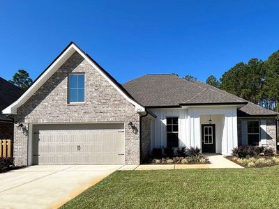 242 Constellation Ave, Freeport, FL, 32439