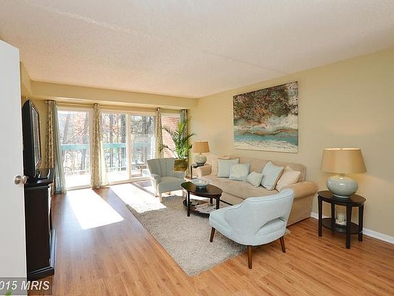 Living Room Drenched with Sunlight