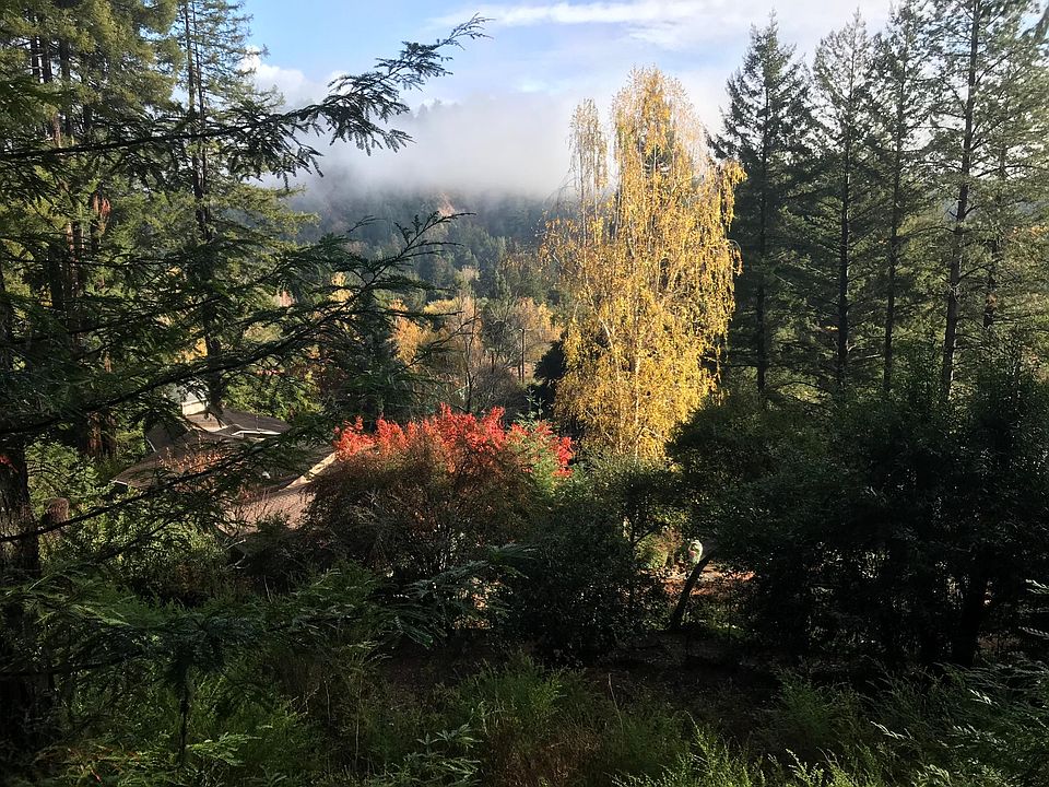 View from deck