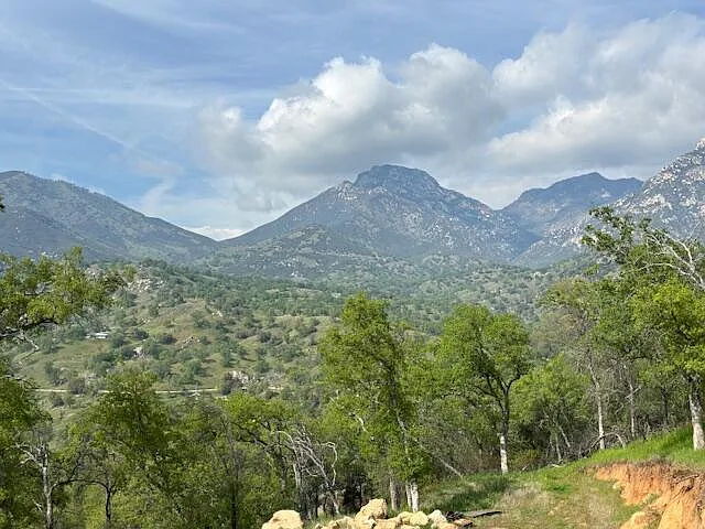 Mineral King Road photo 1