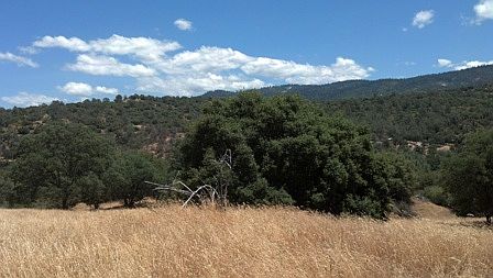 5th image of Lot 602 Powerhouse