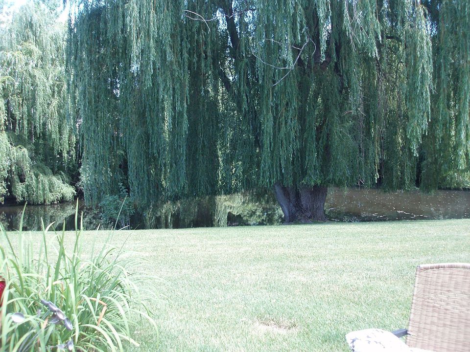 2nd image of 5742 Heather Ridge Dr