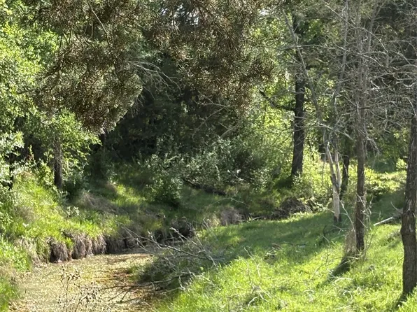 Whitetail Springs Ln, Gustine, TX 76455