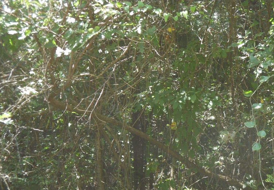 2nd image of 189 County Road 351