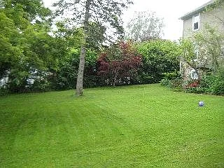 yard