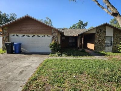 1803 Dana Ct, Brandon, FL, 33510