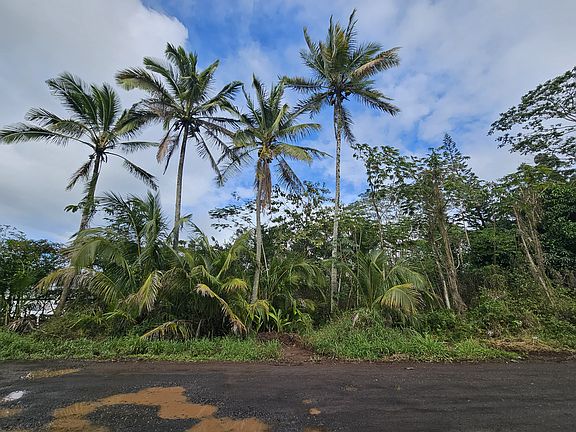 5th image of 36th Ave Lot 82