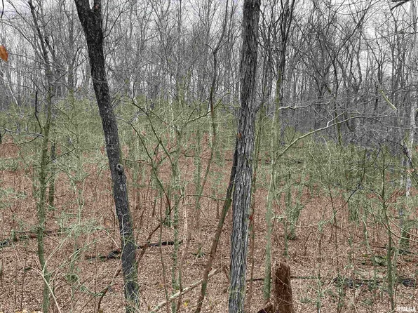 0 Cedar St, Alto Pass, IL 62905