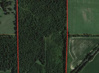 County Road 430, Rector, AR 72461