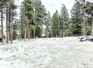 252 Beaver Trail, Bailey, CO 80421