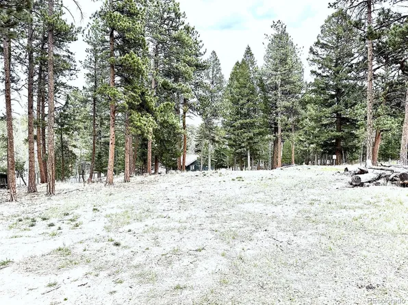 252 Beaver Trail, Bailey, CO 80421
