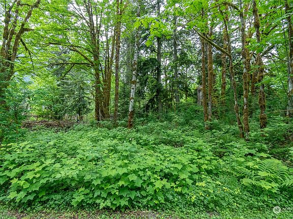 4th image of 18809 640th Lane NE