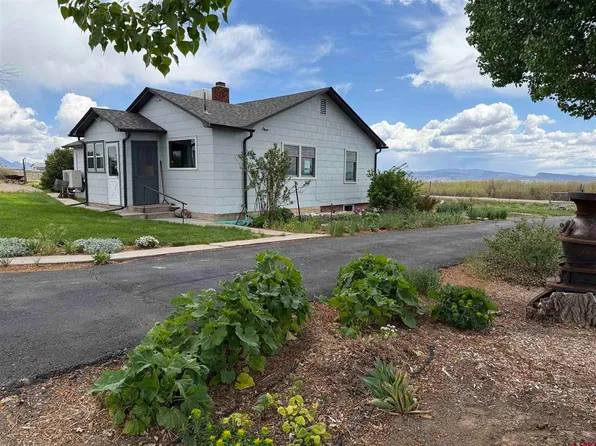 25593 North Road, Hotchkiss, CO 81419