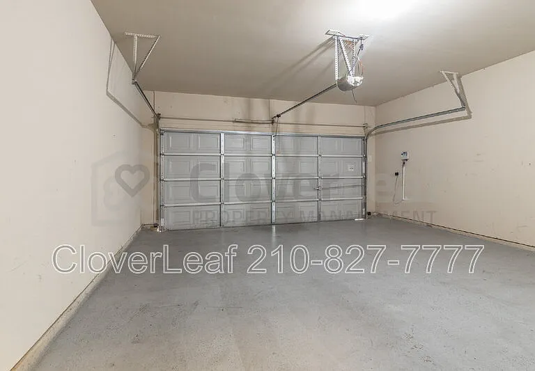 3734 Ox Eye Daisy — Photo 39