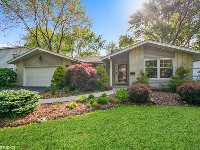 1012 Royal Street George Dr, Naperville, IL, 60563