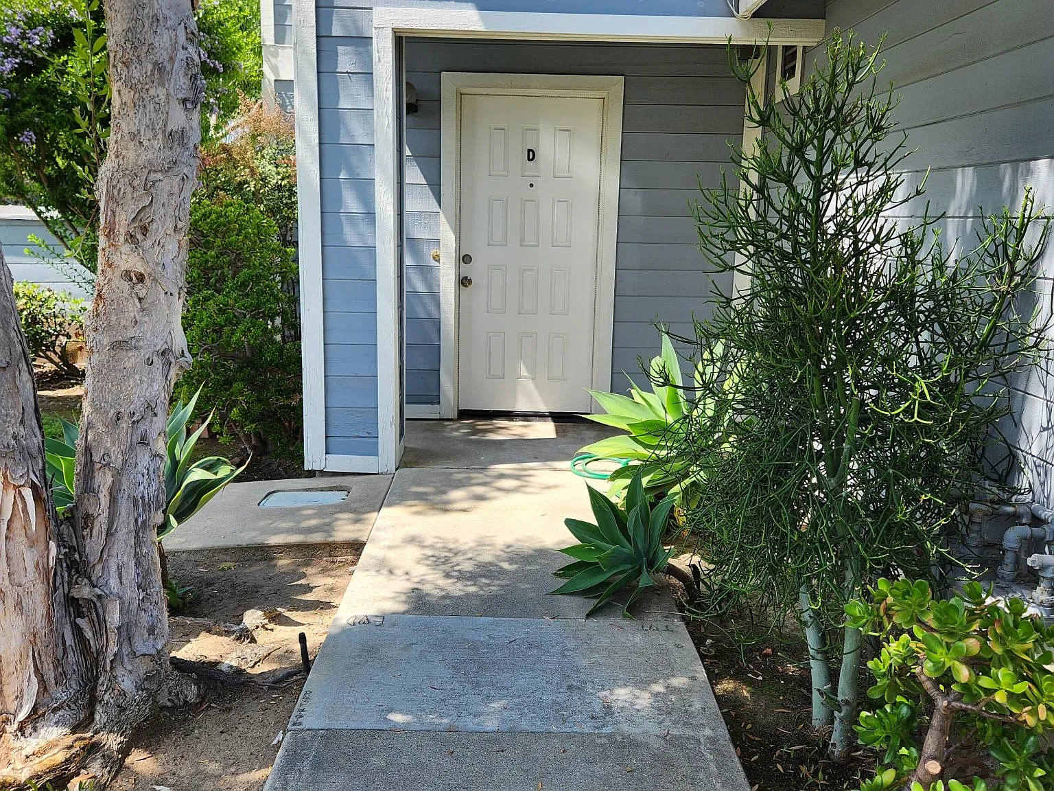 4 bed, 2.5 bath, 1600 sqft, $4,995 — Photo 2