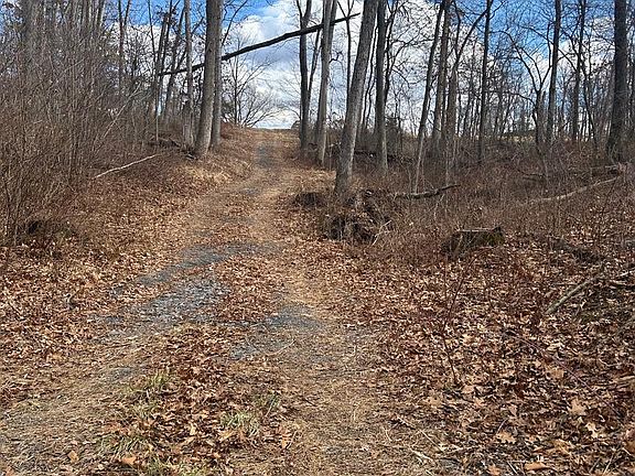 3rd image of Copp Rd