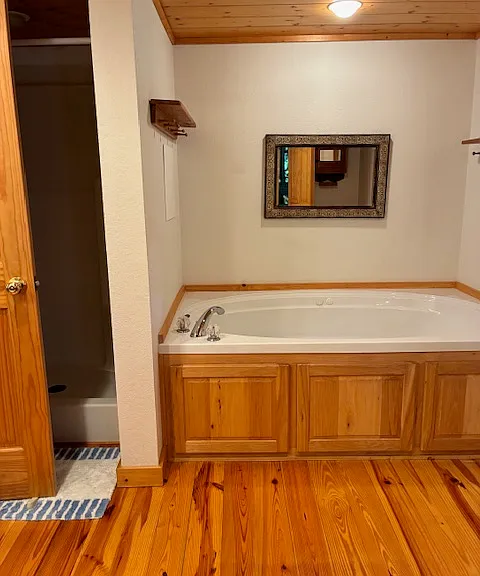 Soaking tub and walk-in shower