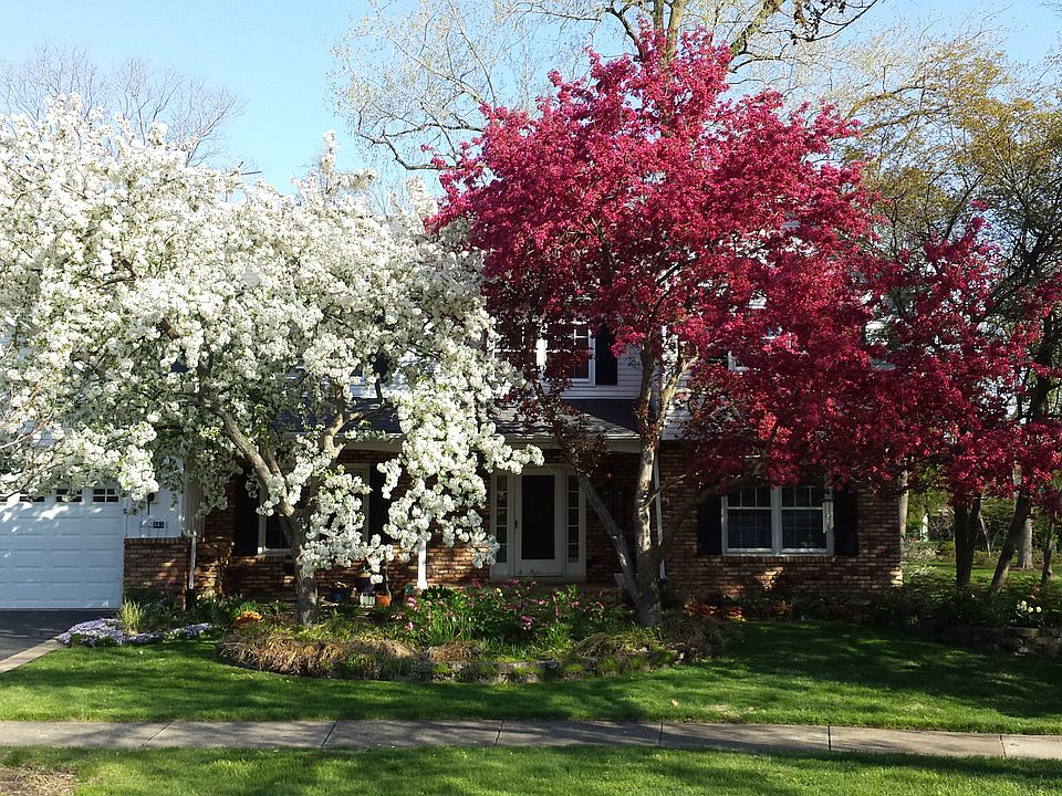 2nd image of 841 Proud Clarion Ct